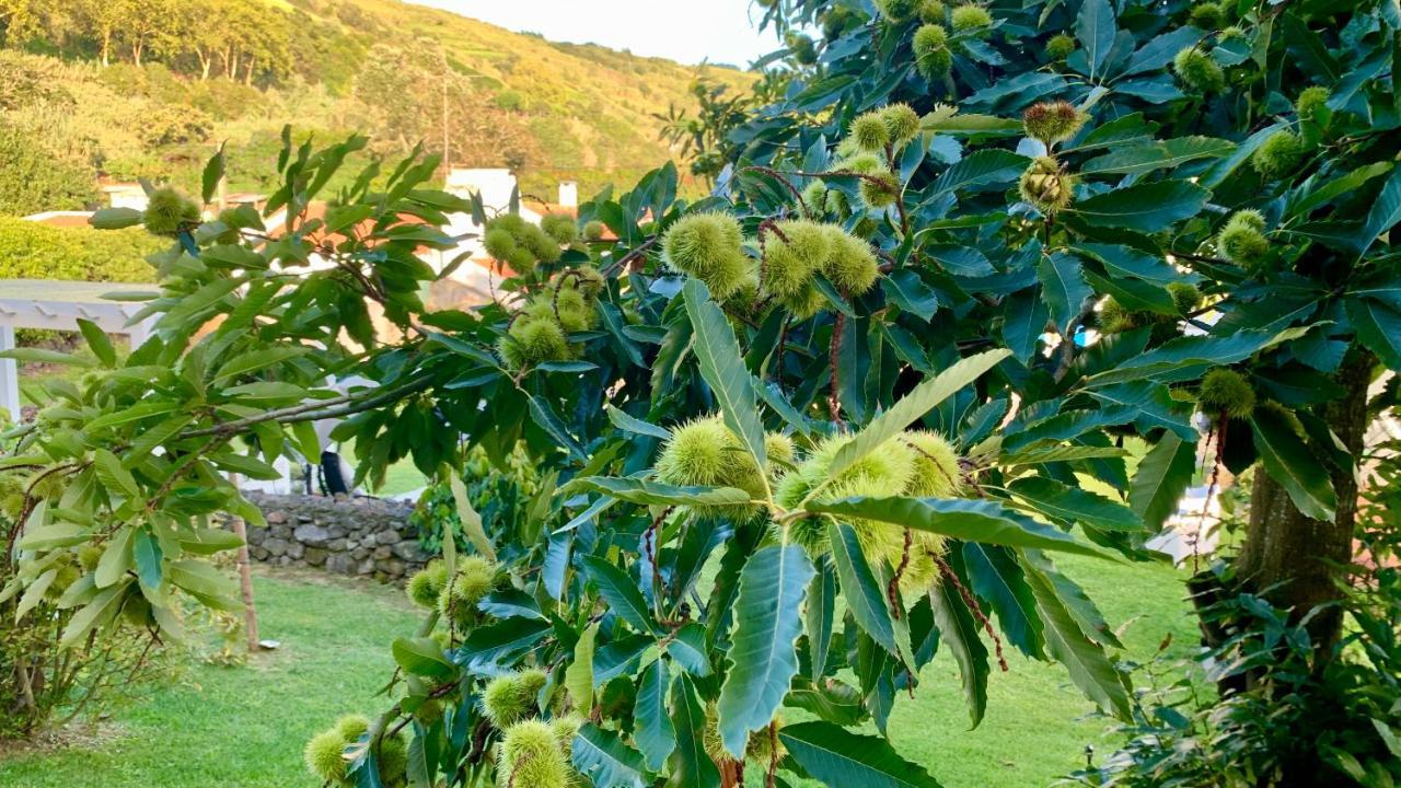 Casa Do Milhafre - Villaverde Azores Feteiras Eksteriør bilde