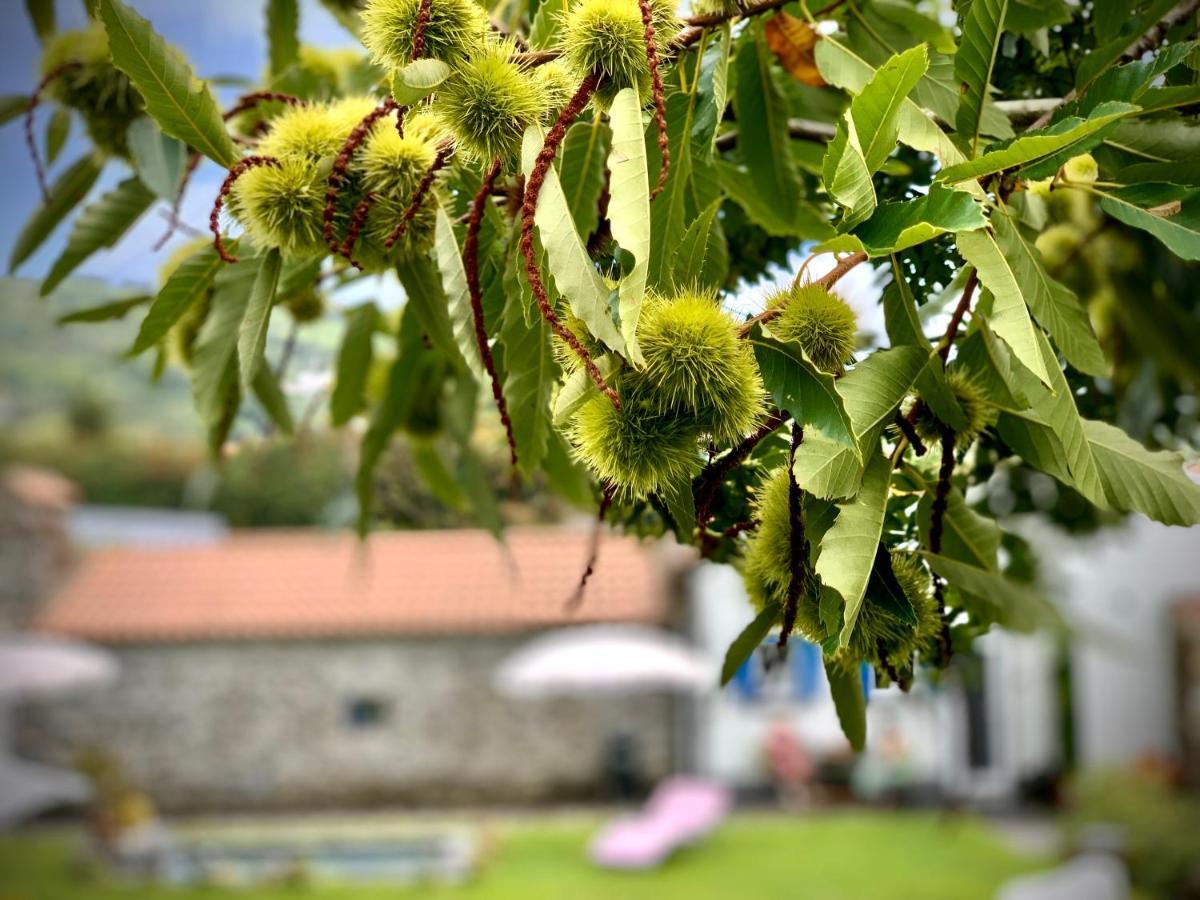 Casa Do Milhafre - Villaverde Azores Feteiras Eksteriør bilde